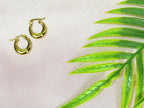 Chateau Gold Luxe Hoops
